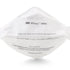N95 Particulate Respirator and Surgical Mask
