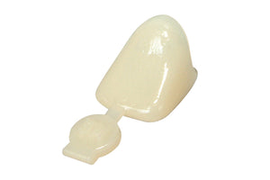 3M™ Polycarbonate Crowns