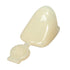 3M™ Polycarbonate Crowns