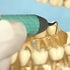 Non-Swivel After Five Plus Inserts