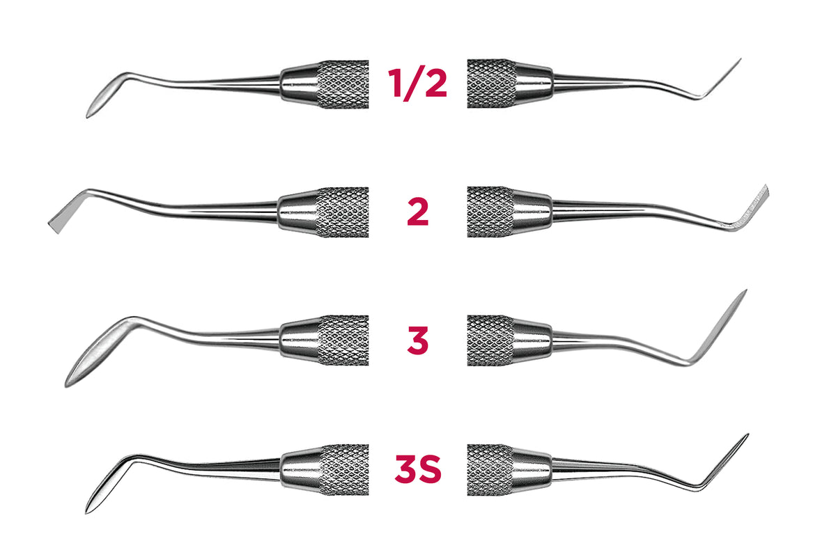 Carvers - Hollenback Double-Ended - Hu-Friedy – Top Quality Manufacturing