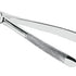 Extracting Forceps - English Pattern